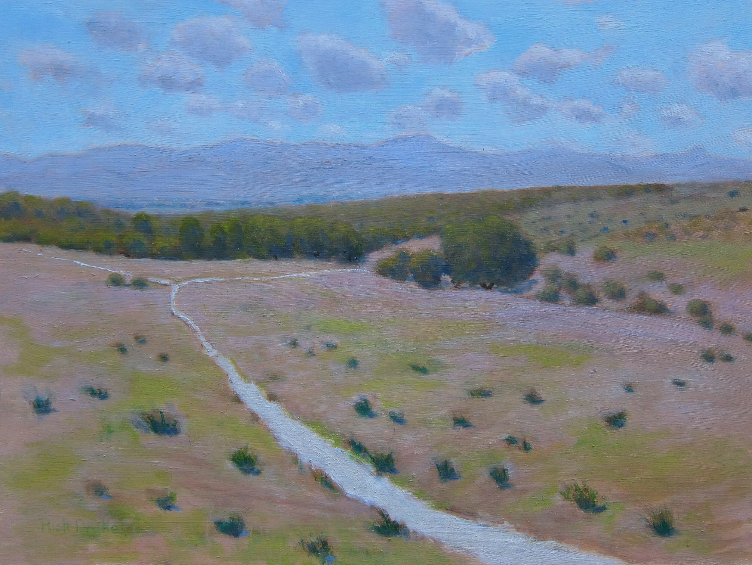 Rick Drake, "Midmorning, Burton Mesa," Oil on board