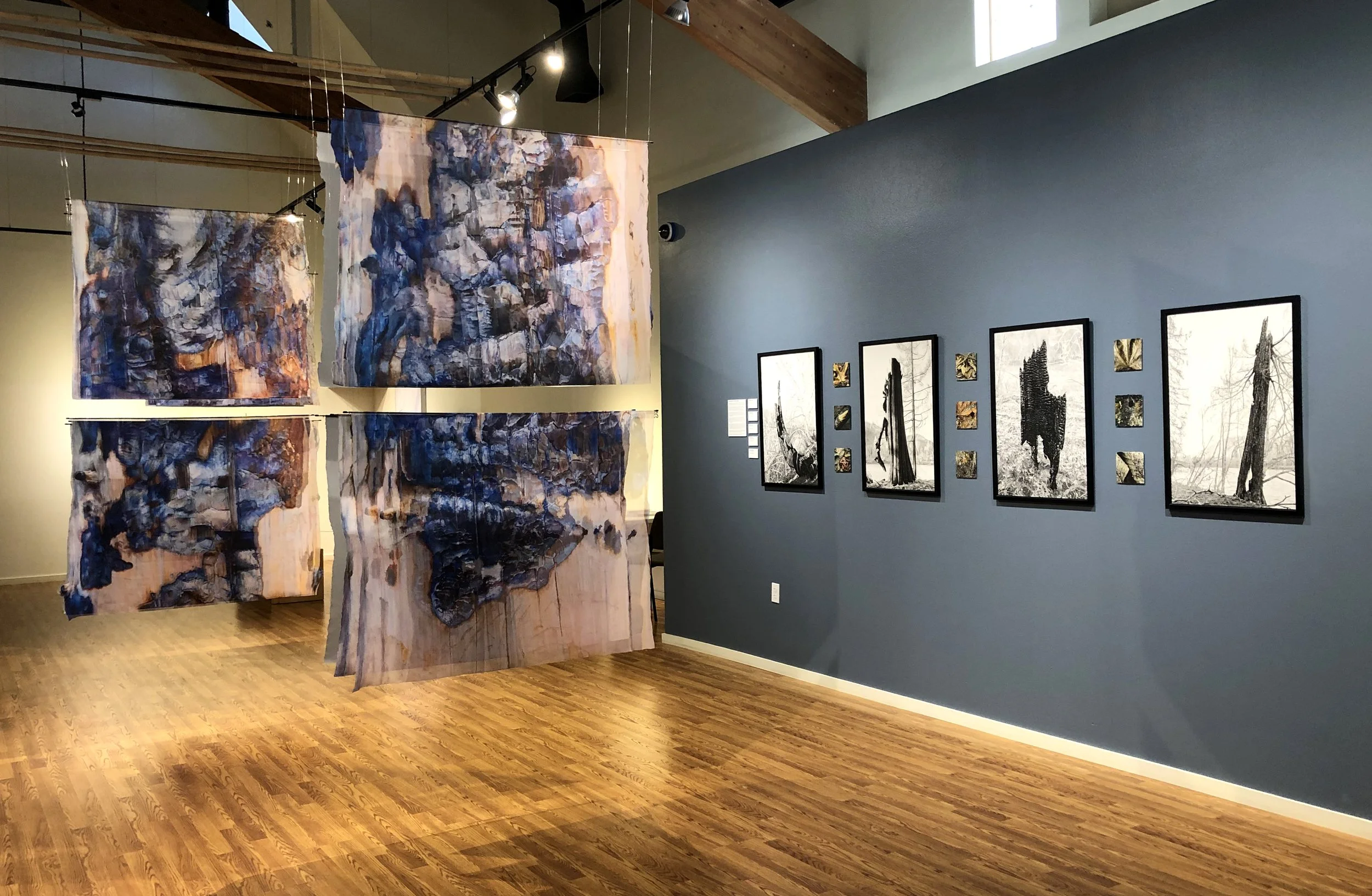 Fire &amp; Ice: Our Changing Landscape