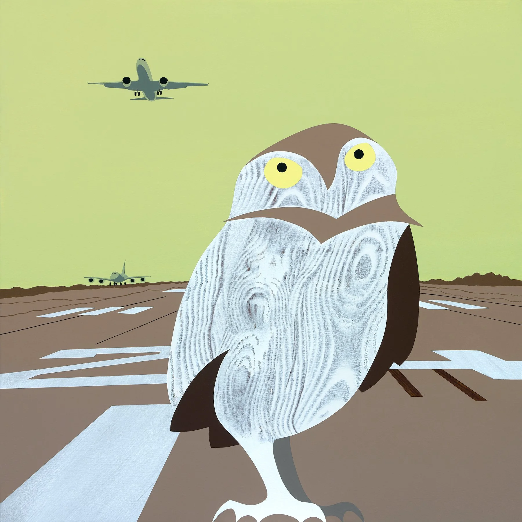 Wildlife on the Edge: Hilary Baker