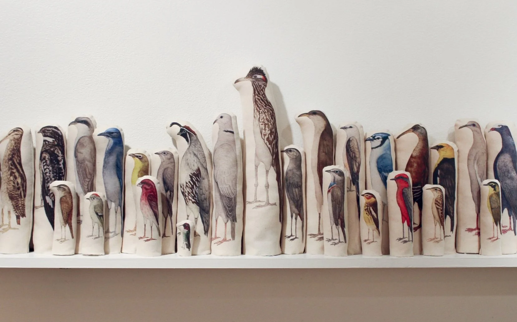 Bird's Eye View: Four Perspectives