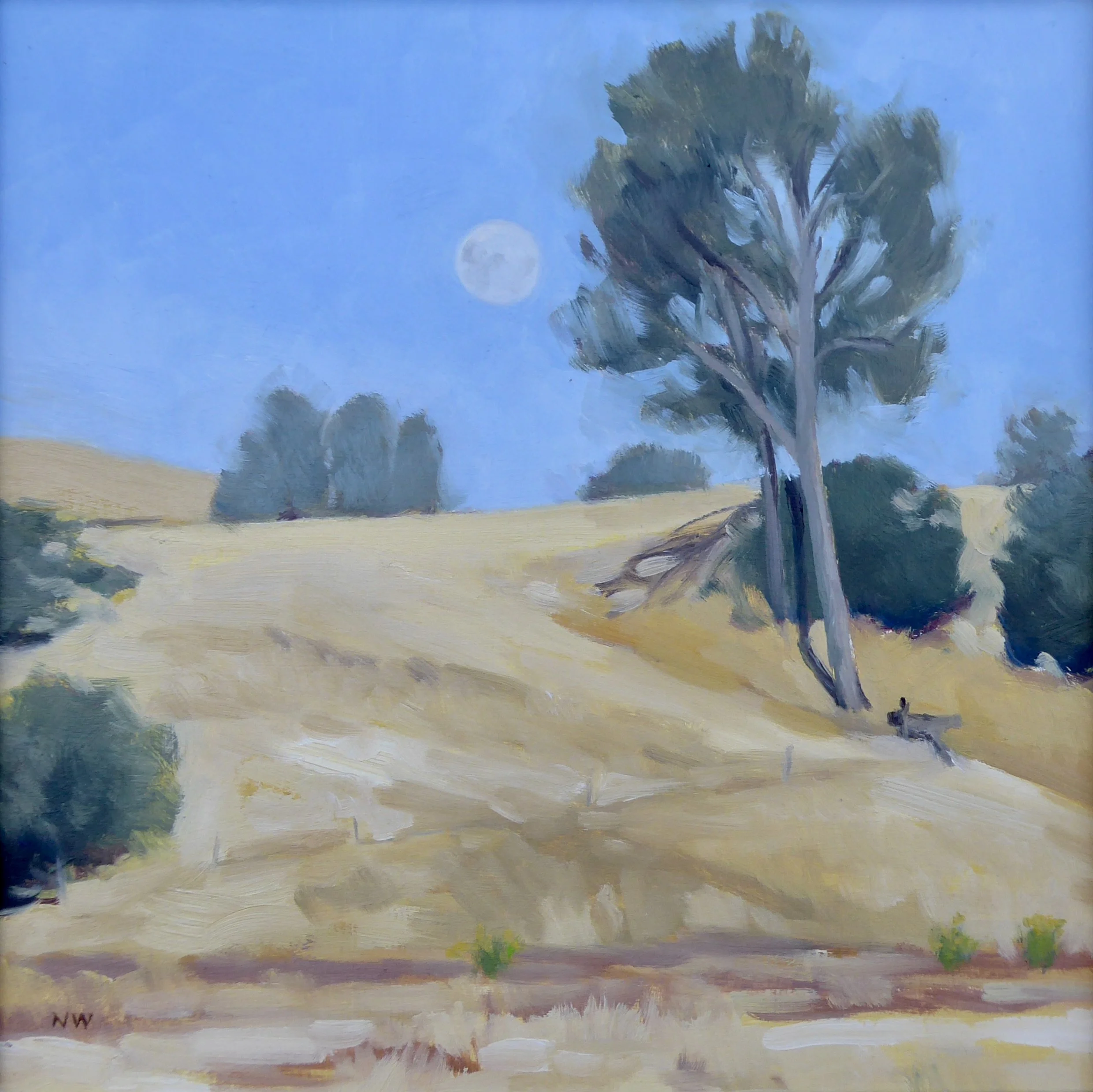 Sedgwick Reserve: A Conservation Story