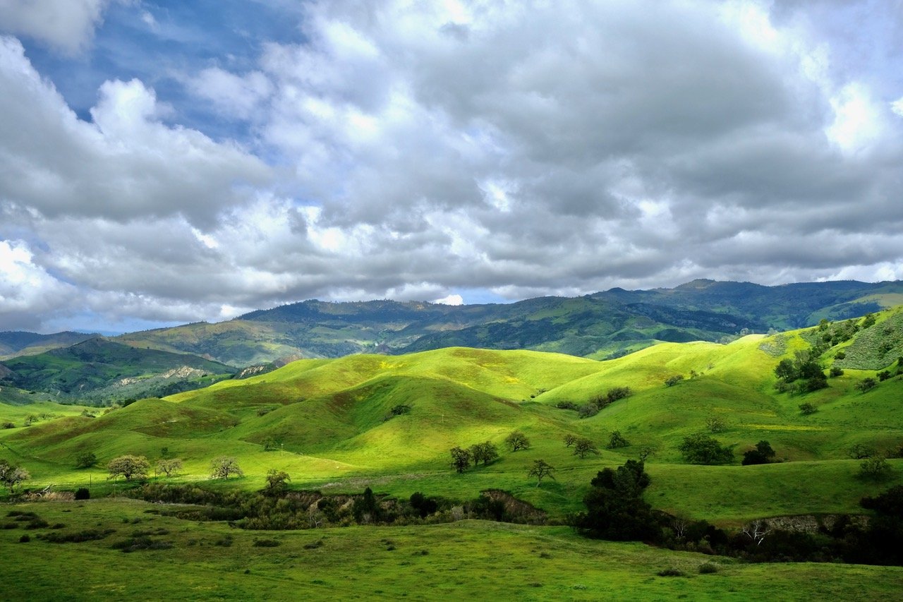 June 29th | Saving Sedgwick: A Citizens’ Success Story