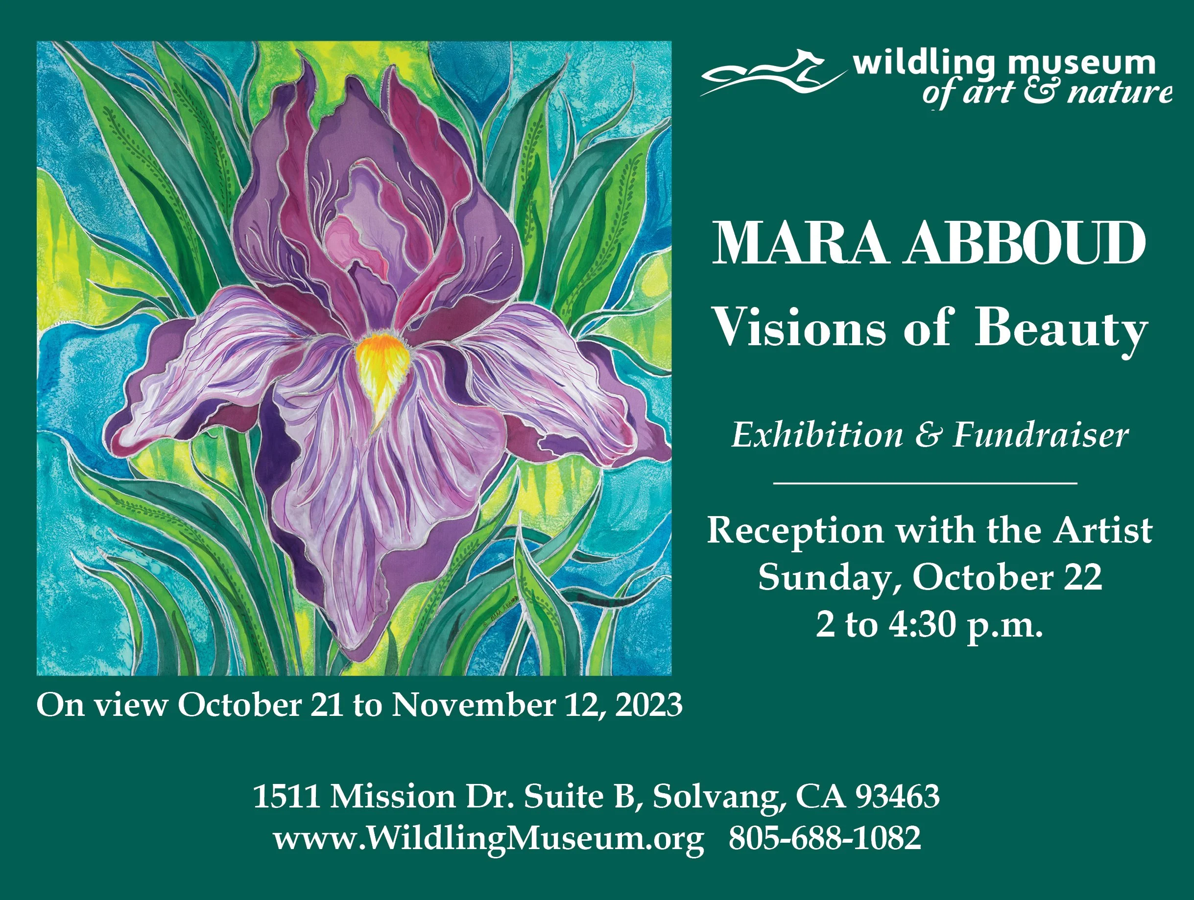 Mara Abboud: Visions of Beauty