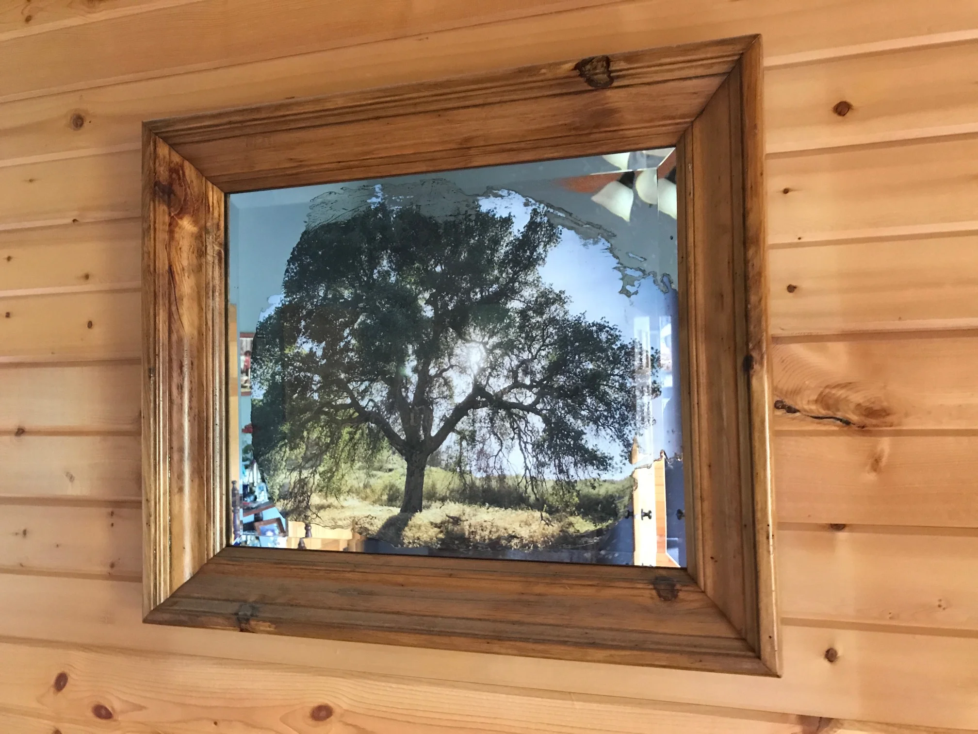 Mirror Antiquing - Nature Photography