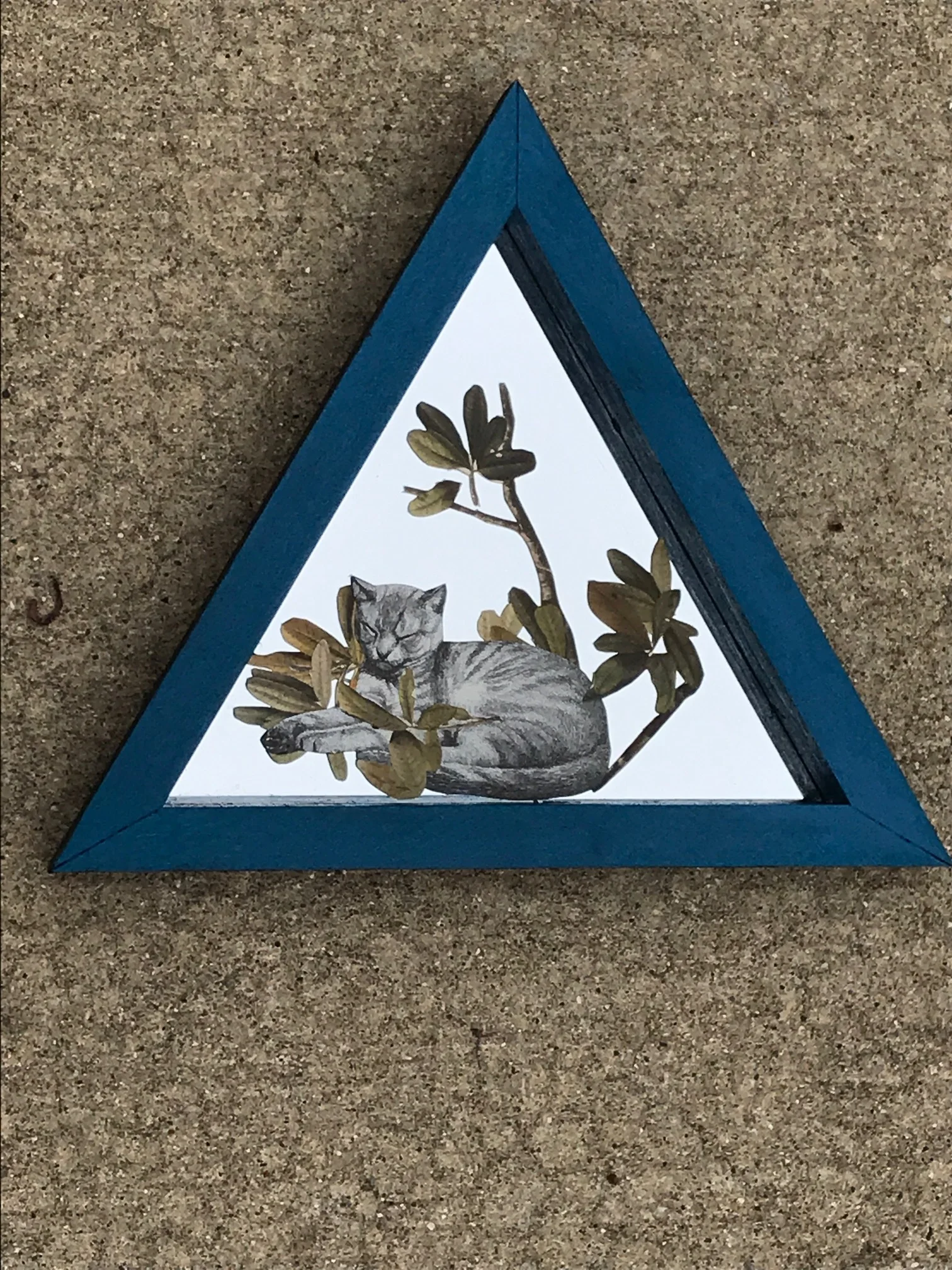 Cat Collage on Mirror - Triangle Frame