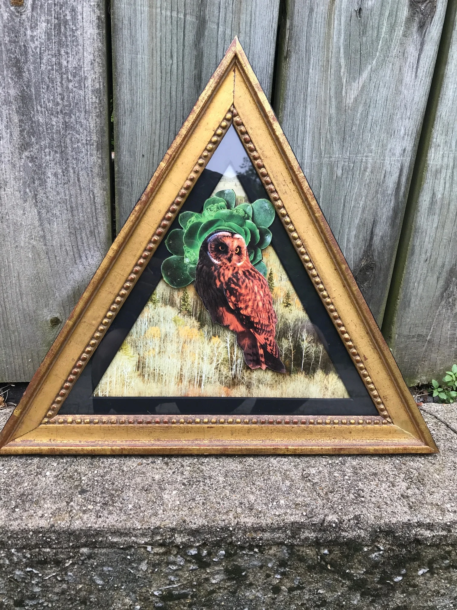 Owl Collage - Black Matboard - Gold beaded Triangle Frame