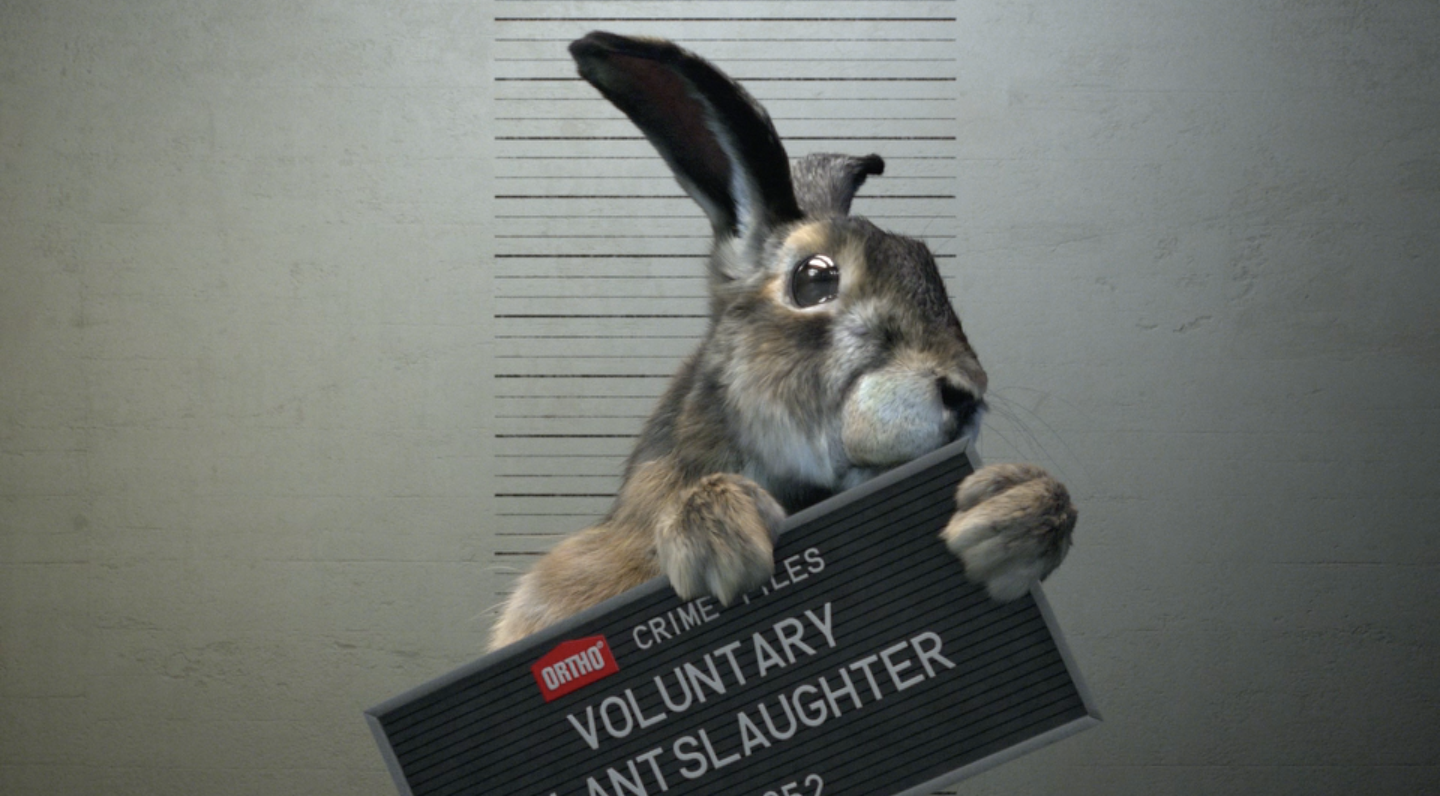 Screen Shot 2018-06-18 at 9.12.55 PM.png