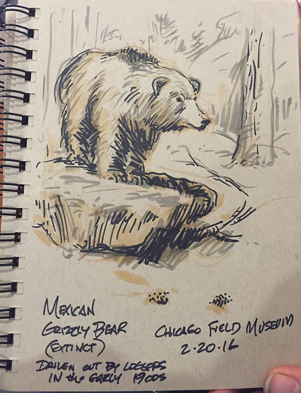 MexicanGrizzlyBear.jpg