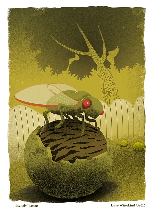 Summer's End: Farewell Cicadas &amp; Walnuts