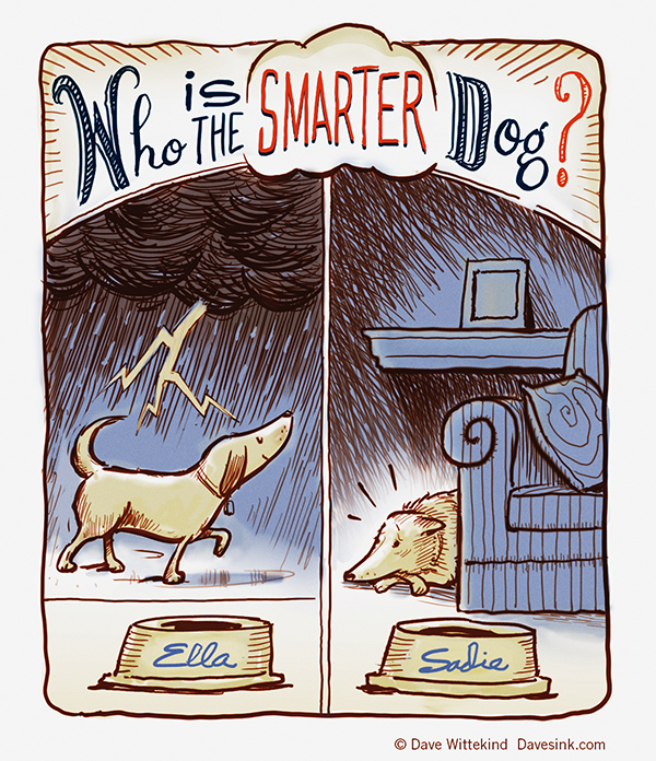 Dog Phobias. Case study: Sadie and Ella