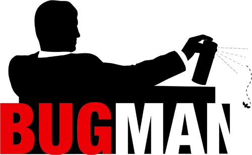 Interview with Raid Bug creator Don Pegler