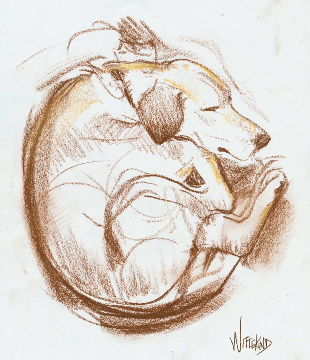 Dog sketches