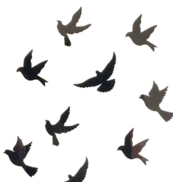 Screen Shot 2019-04-09 at 12.16.01 PM.png