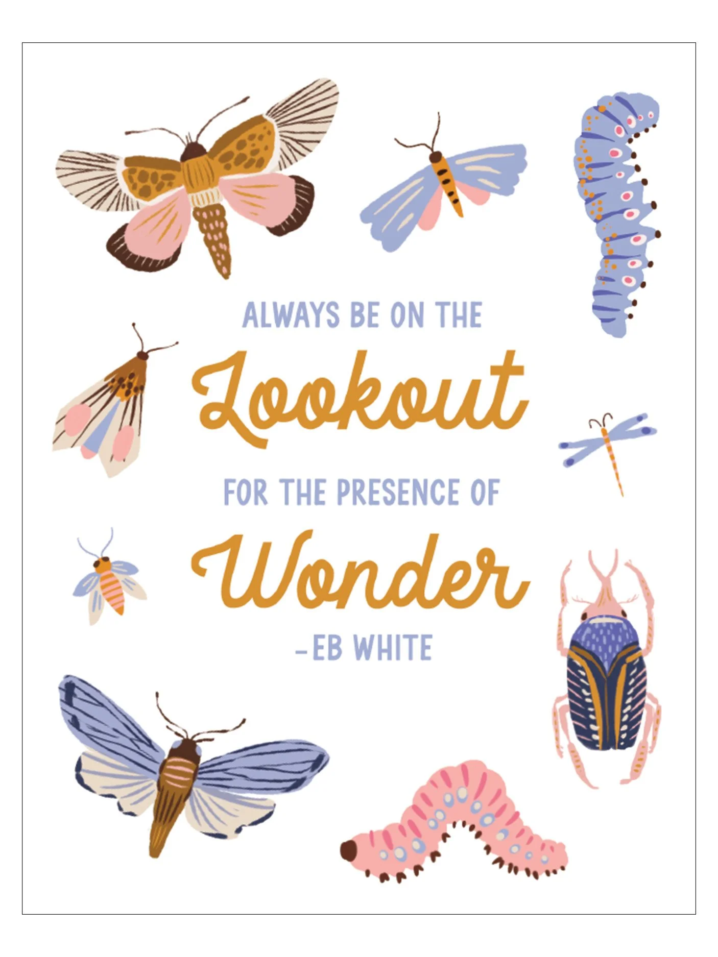 Bugs of Wonder