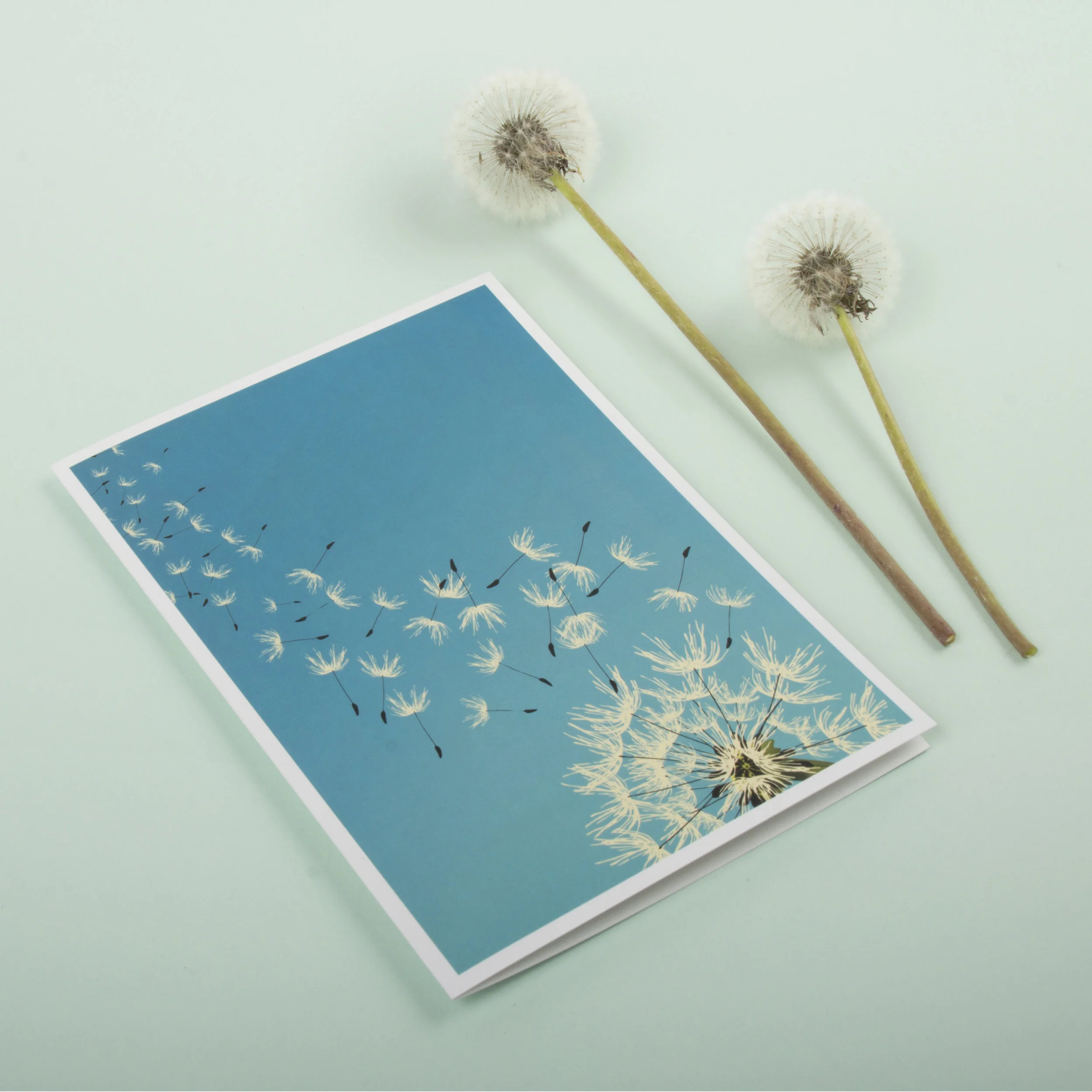 Boxed Notes