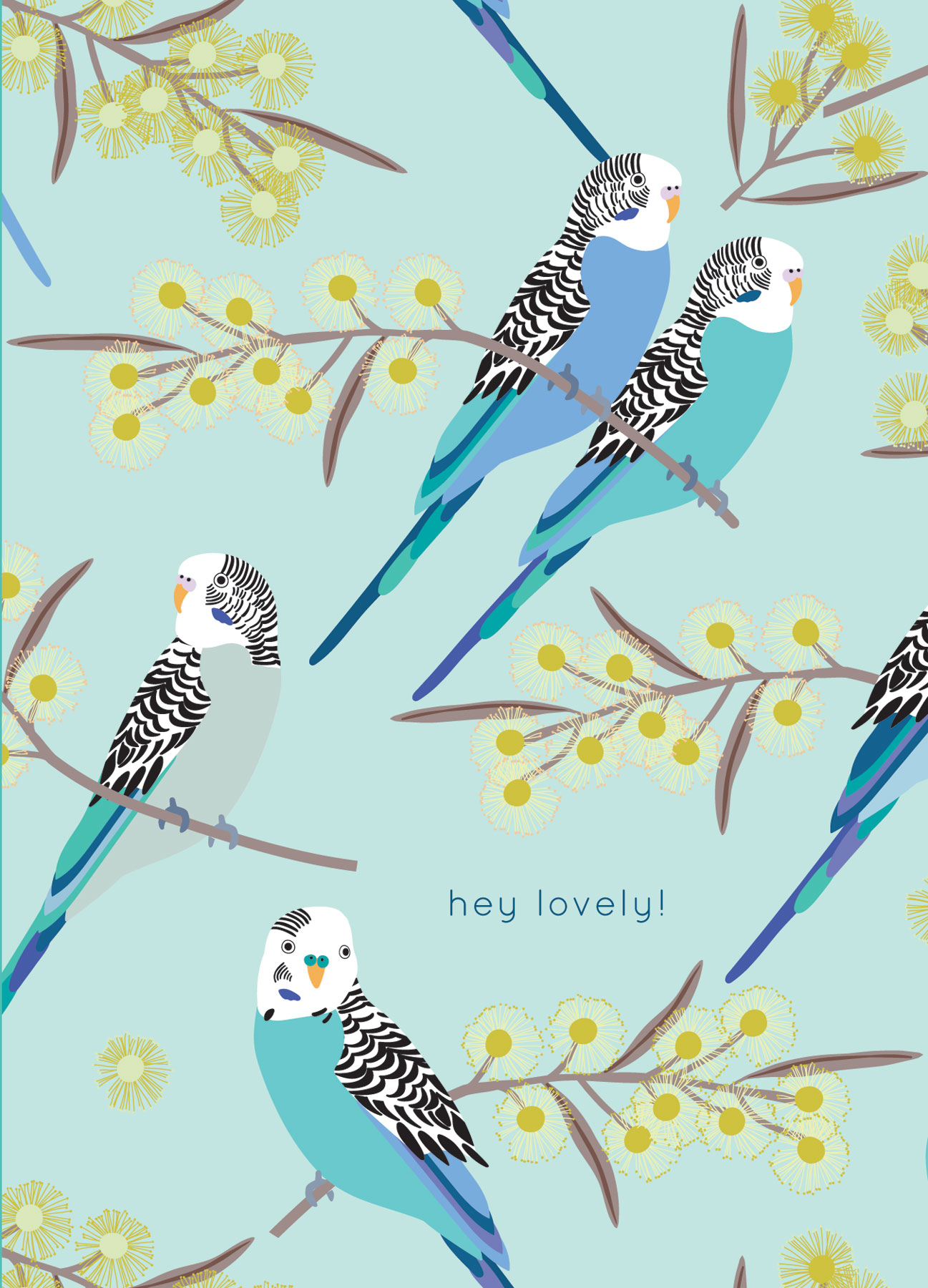 JP004_BUDGIE_SNUGGLERS.jpg