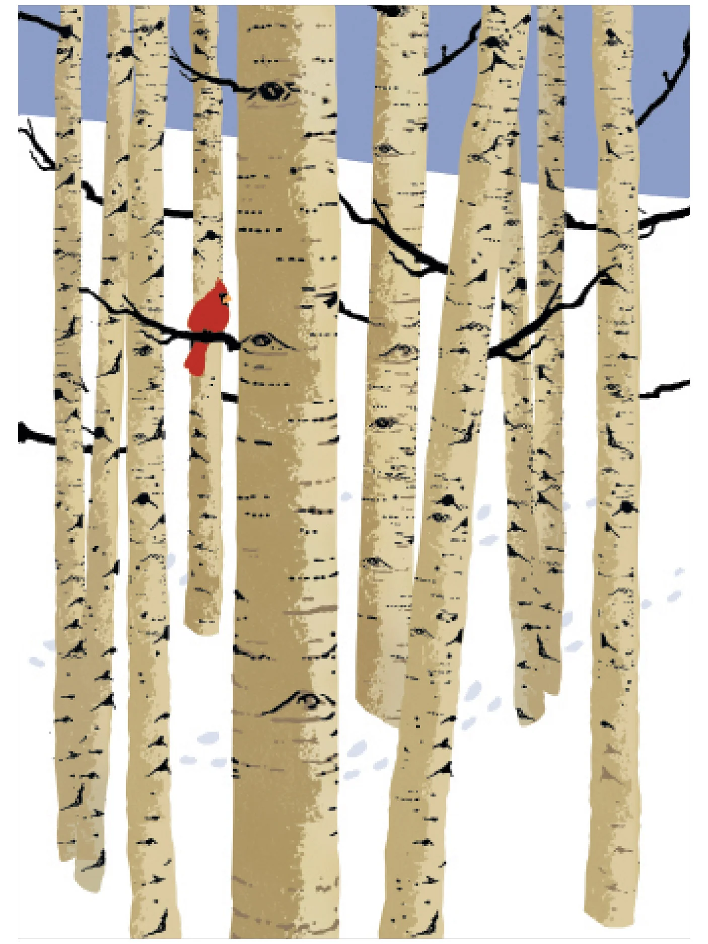 C0205 Birch Trees