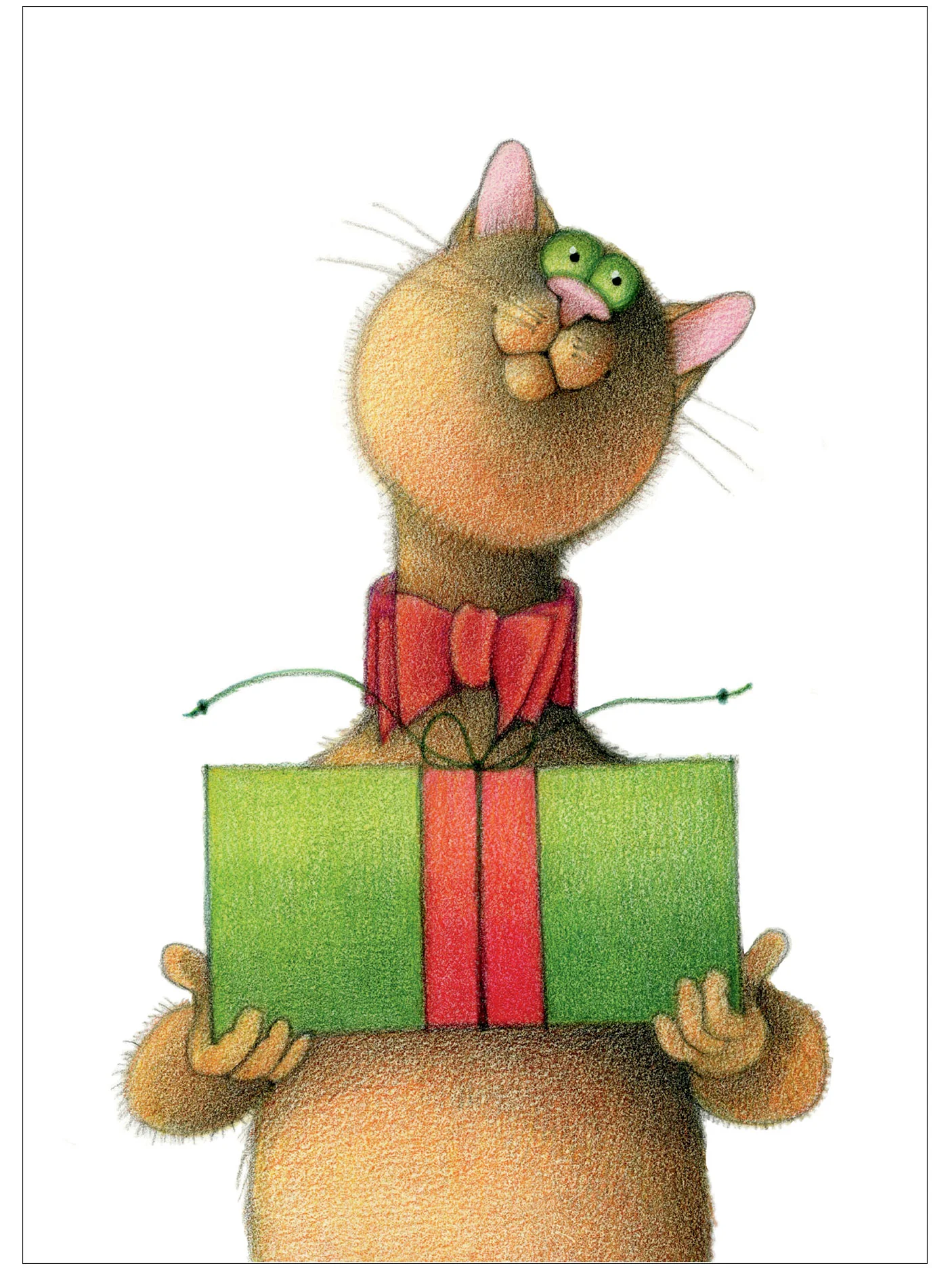 C0235 Cat with Package