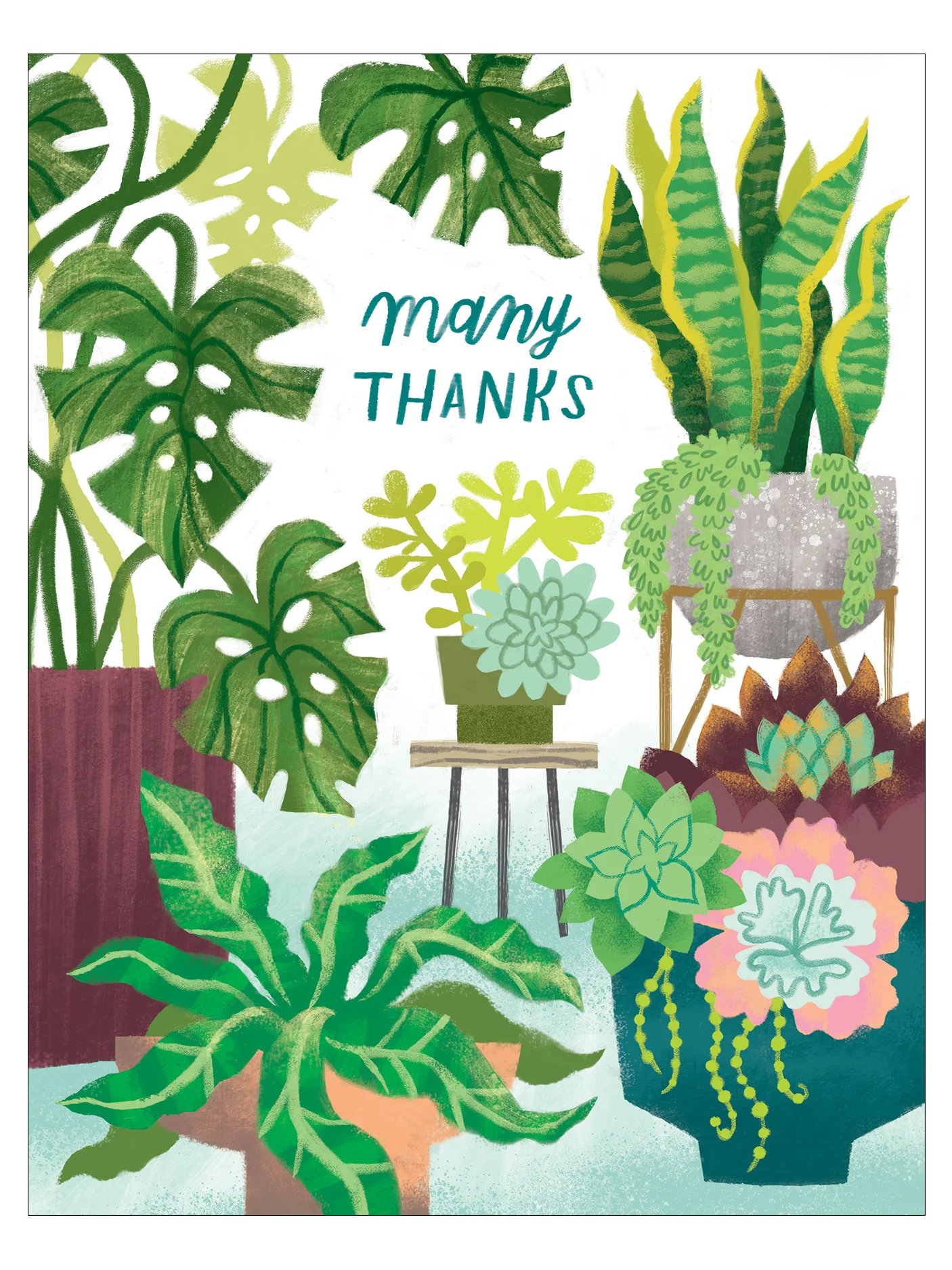 Houseplants Thank You