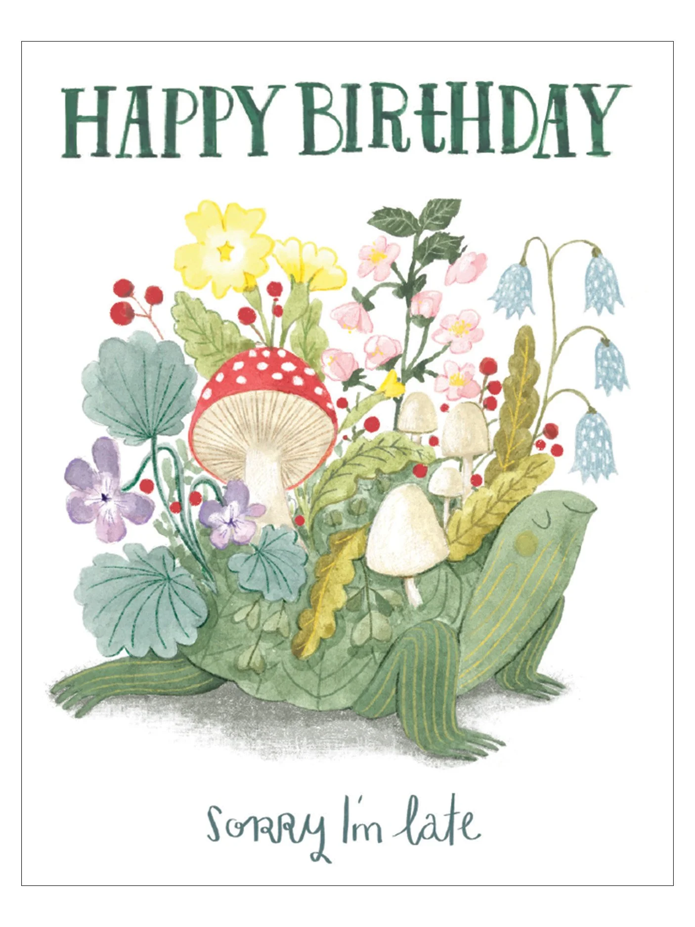 Belated Birthday Turtle