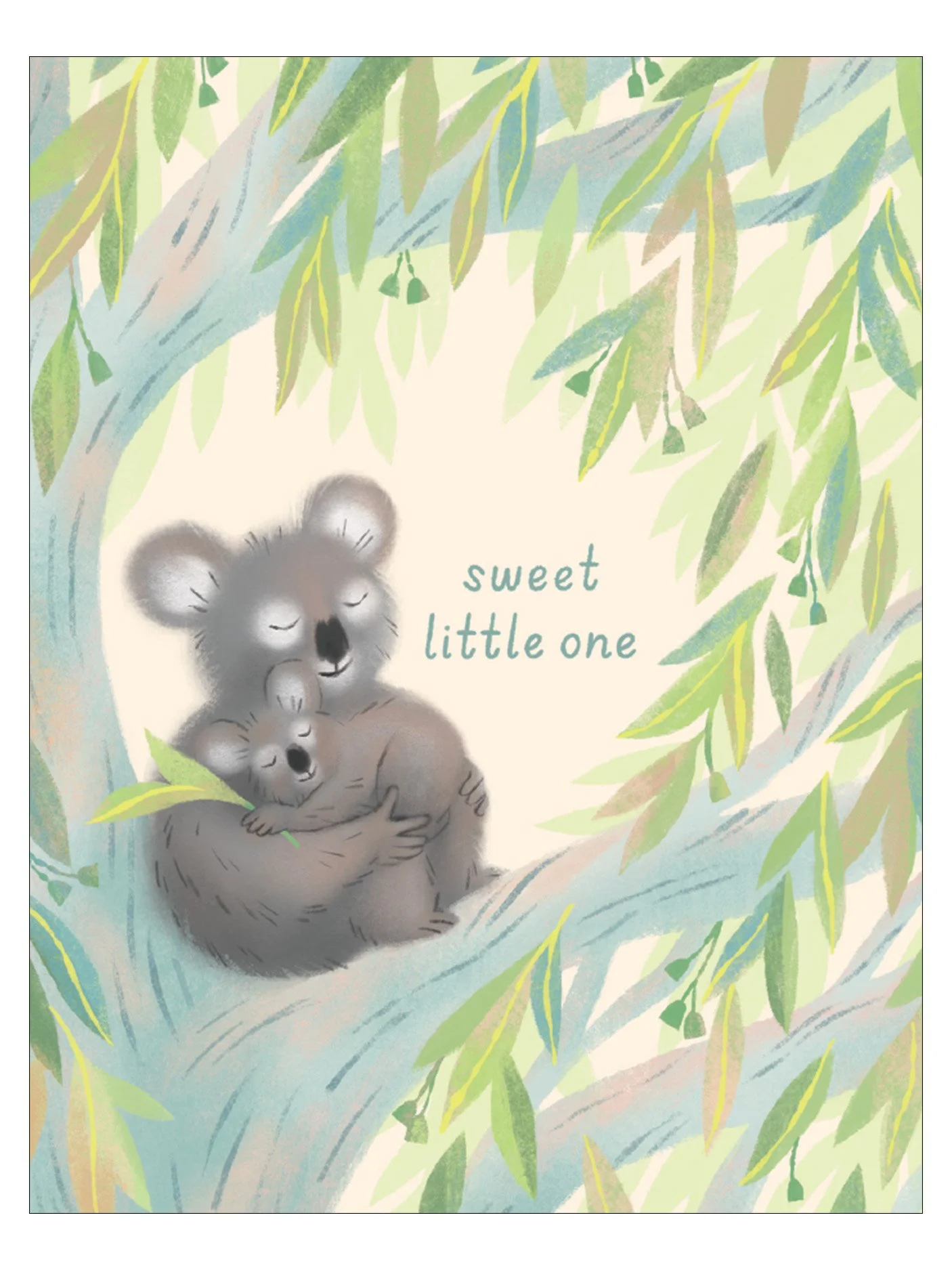 Koala Baby