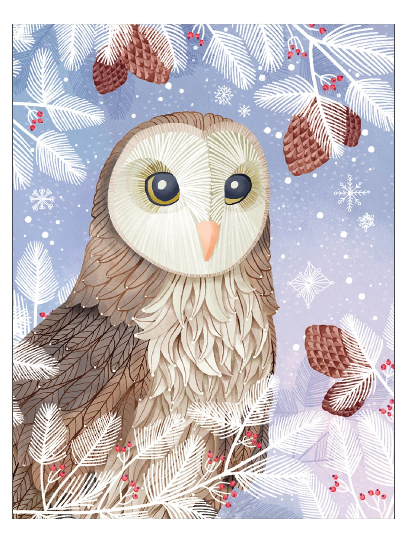 MRX034 Barn Owl