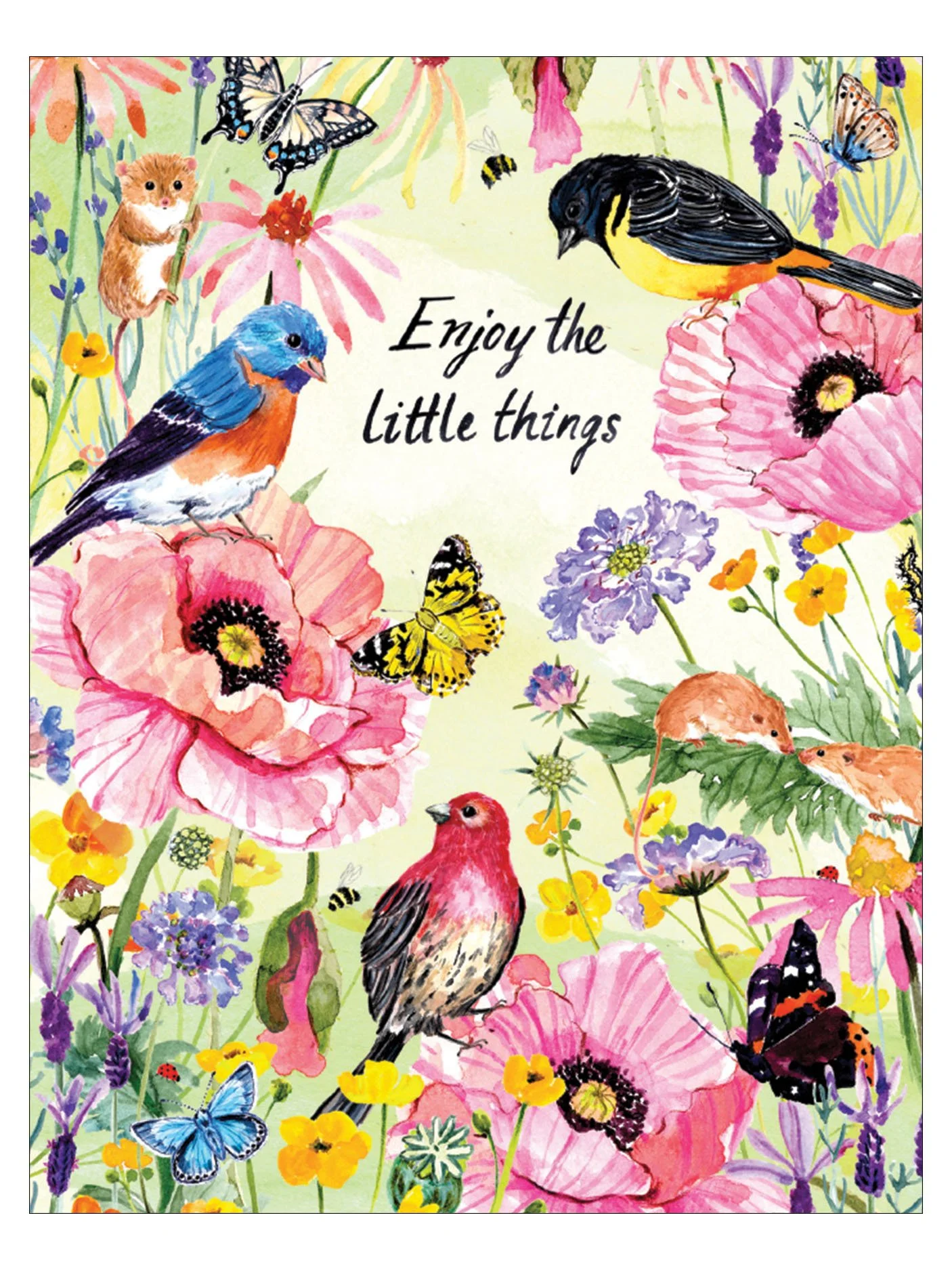 Birds in Meadow