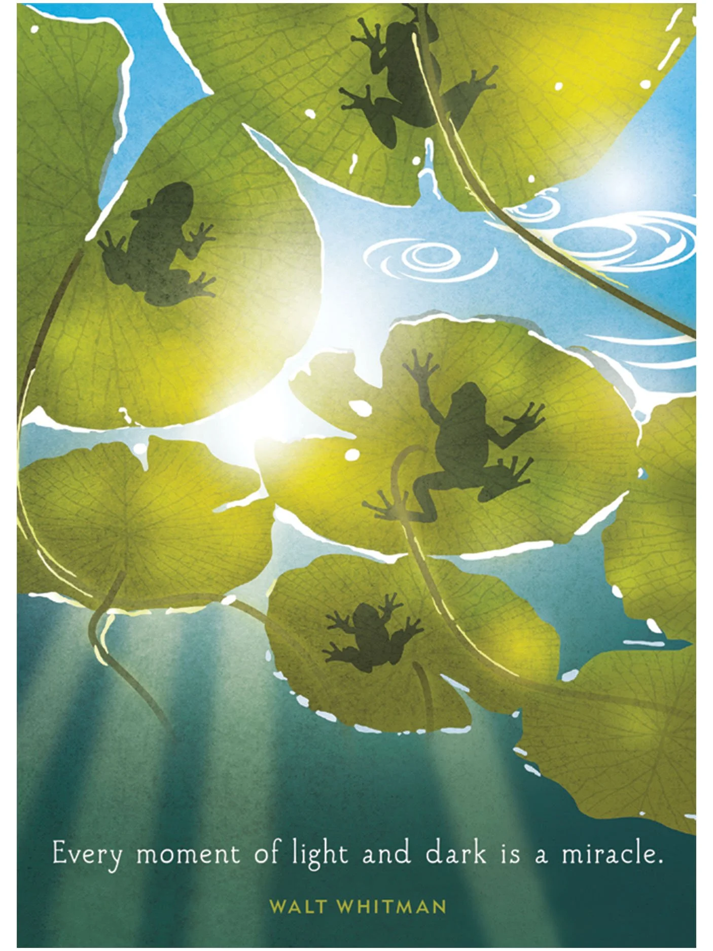 Lilypad Light Birthday