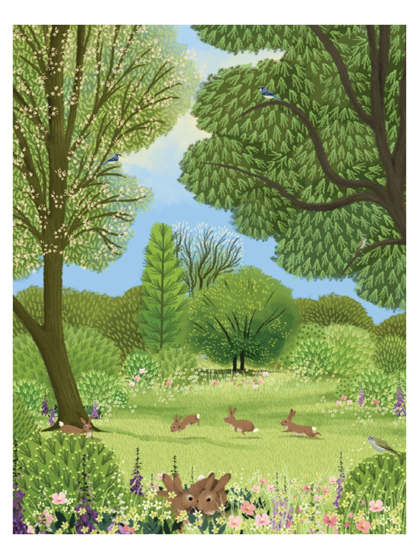 Woodland Rabbits