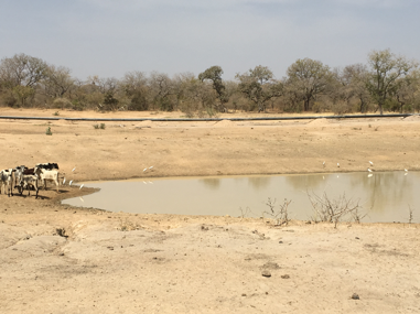 The local water source BEFORE the well was built.