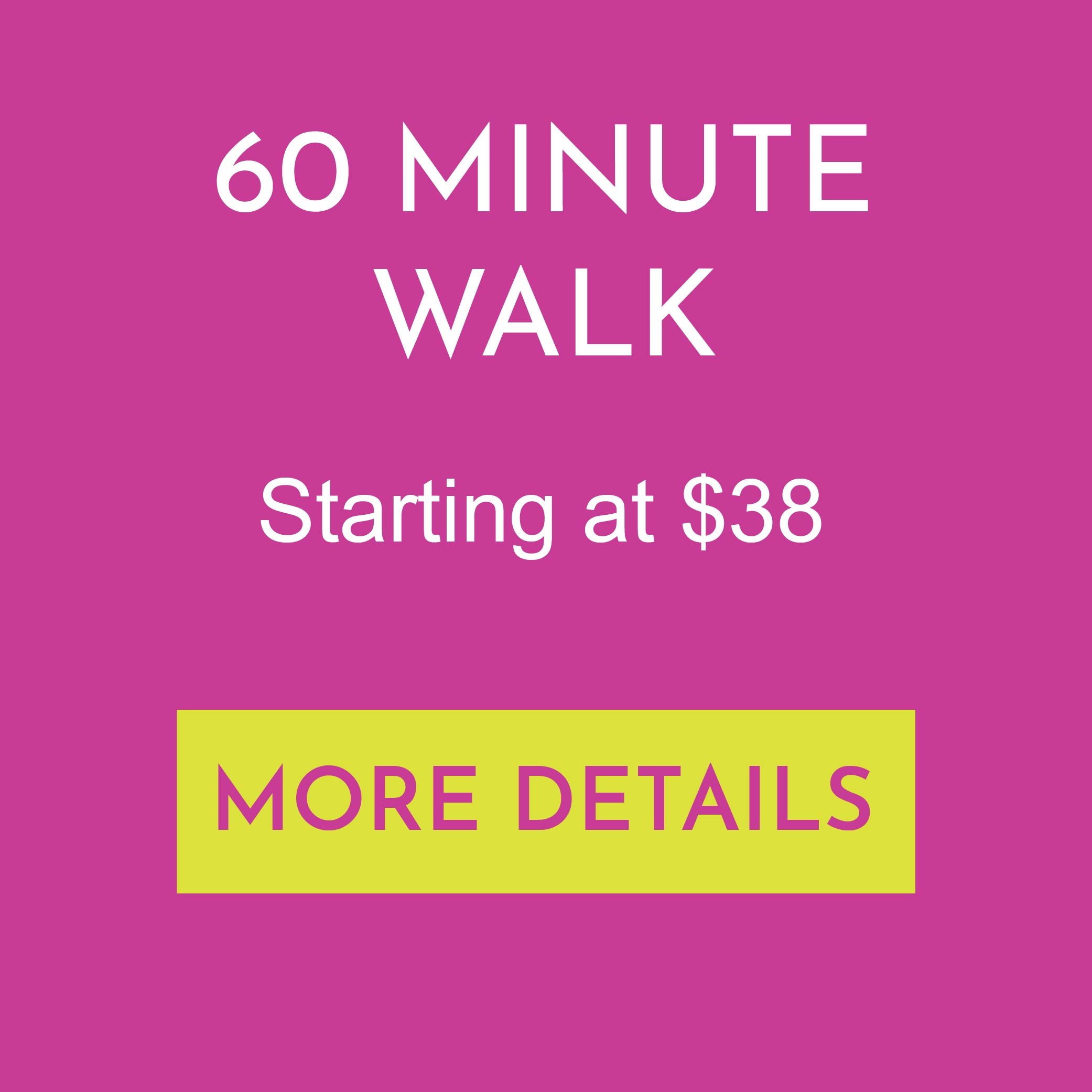 60 Minute Dog Walk
