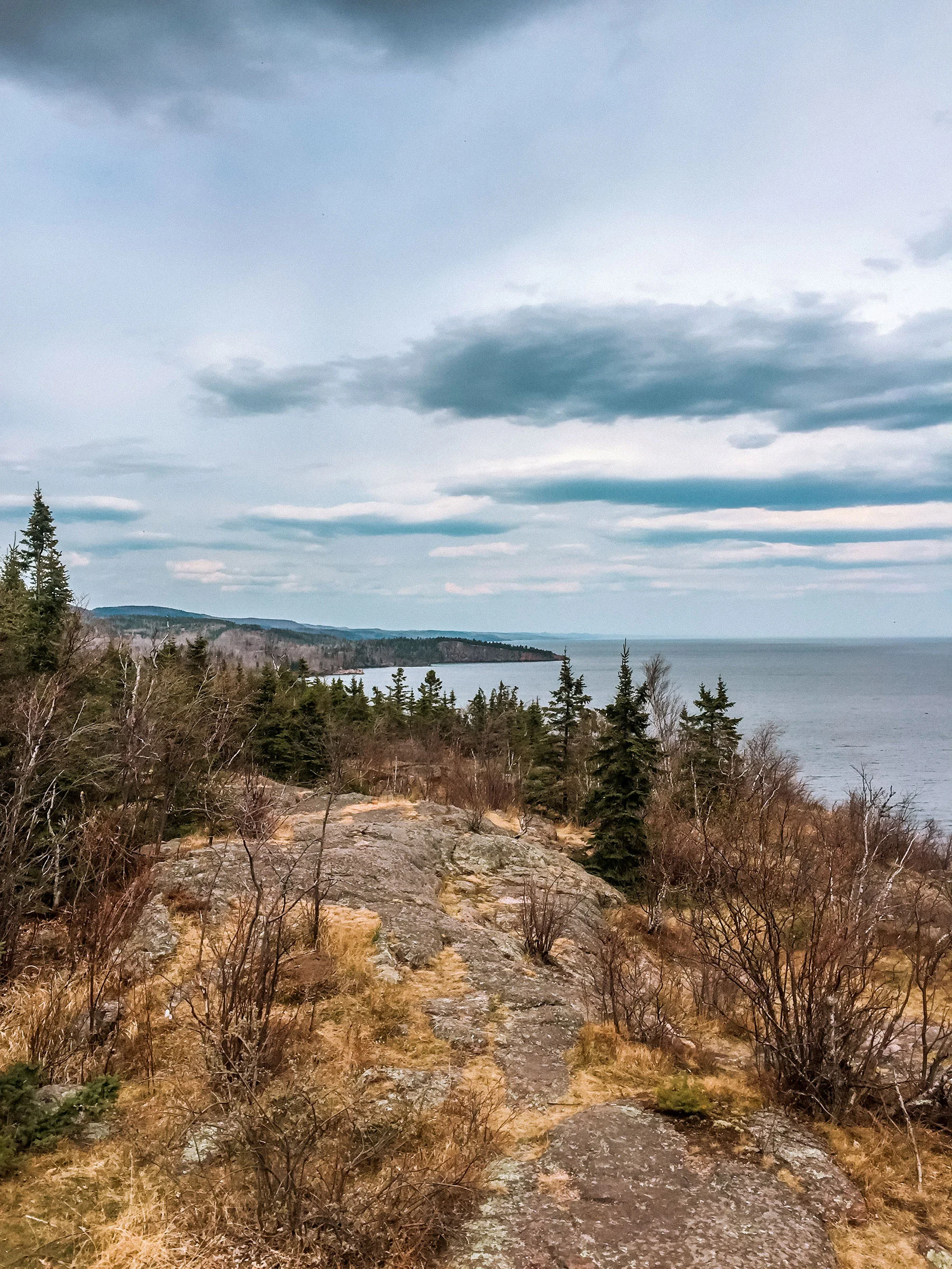 palisade_head_3.jpg