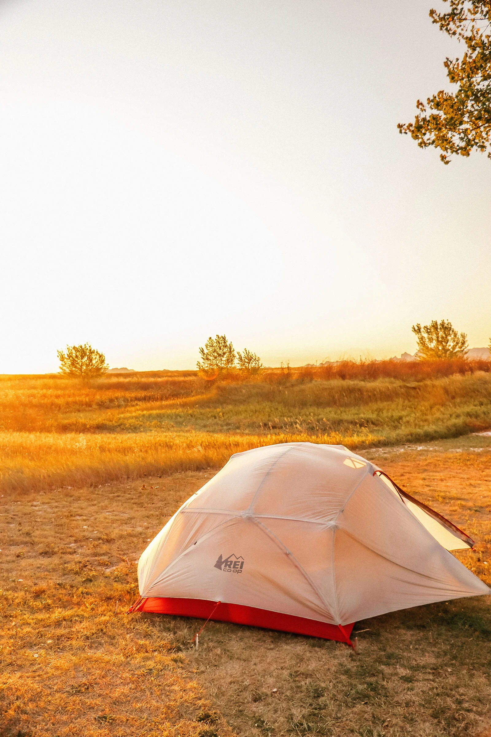 cedar_pass_campground.jpg