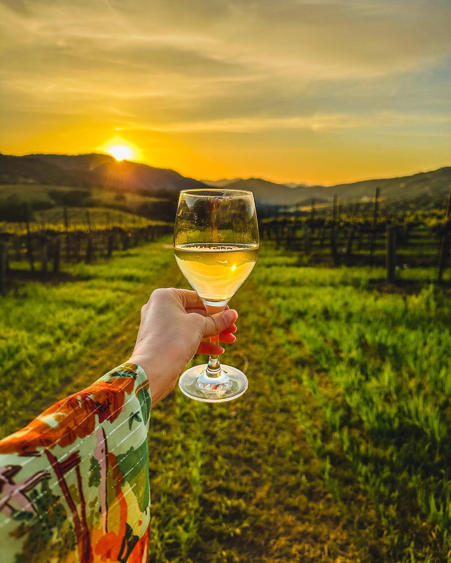 Cheers to wine country! 🥂

We&rsquo;ve been to many vineyards in Napa over the years, but this was our first time experiencing vineyards in Carmel Valley. 

The entire village is dedicated to experiencing all the wine the region has to offer, and th