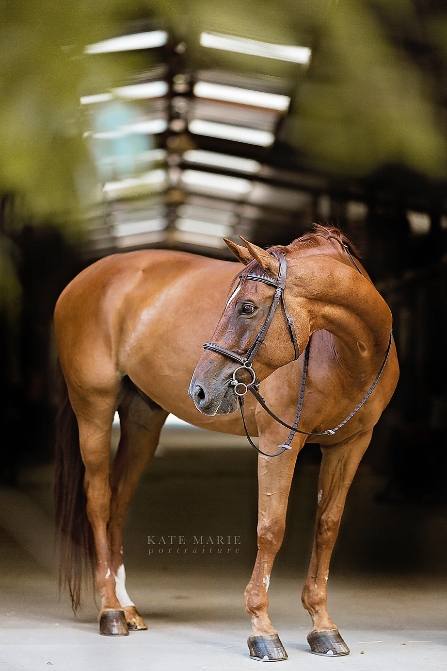 Dallas_Senior_Photographer_Flower_Mound_Senior_Portrait_Annie_08