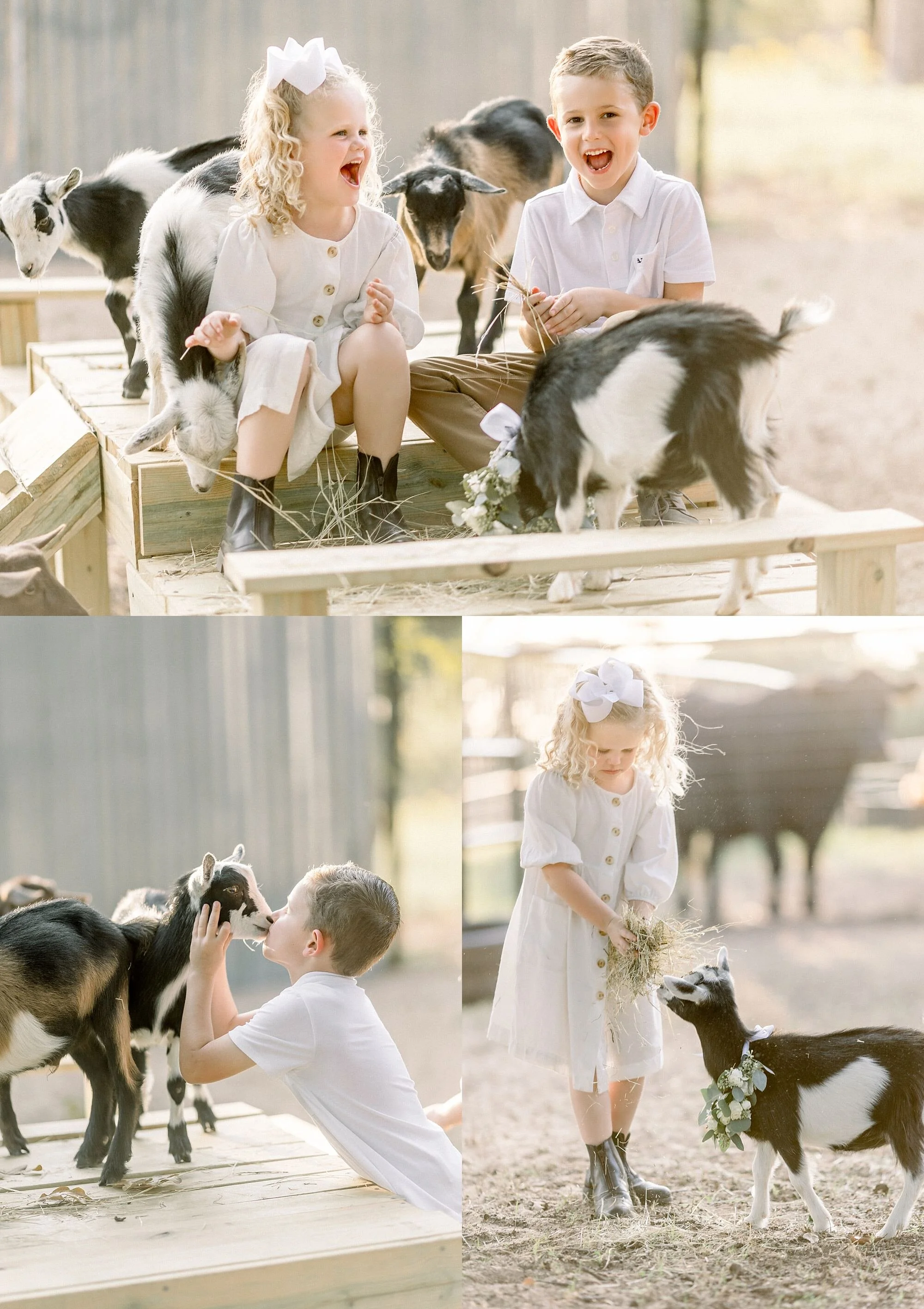 familyphotographyatthefarm