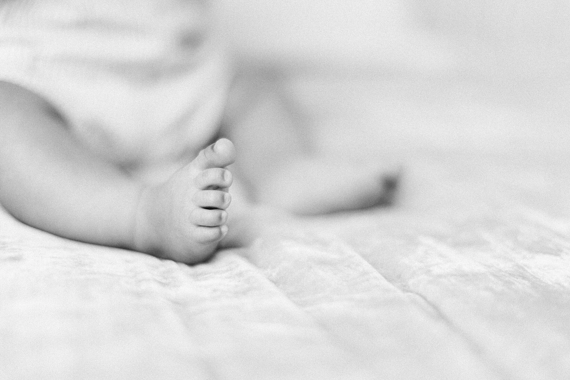 half-birthday-photo-session