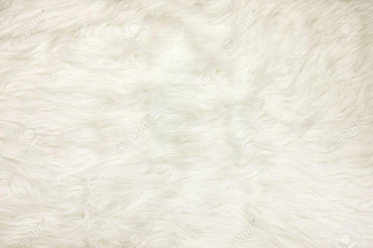 White Fur