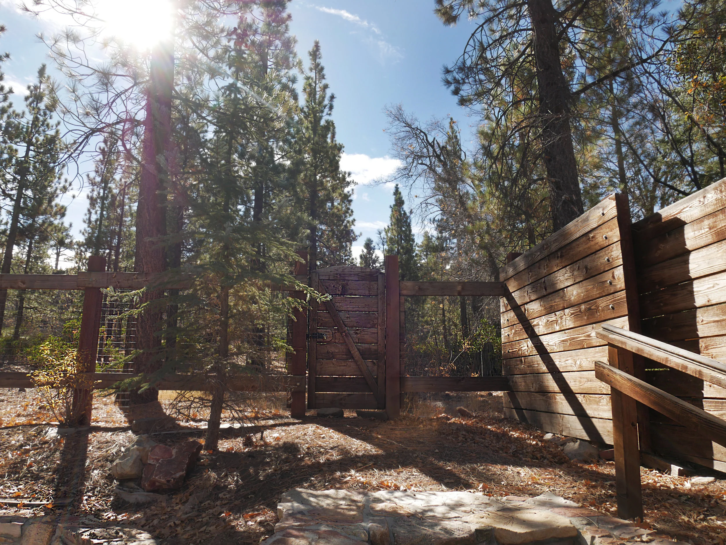  The back gate has direct access to the San Bernardino National Forest.   There are hiking and mountain biking trails right behind the house.  