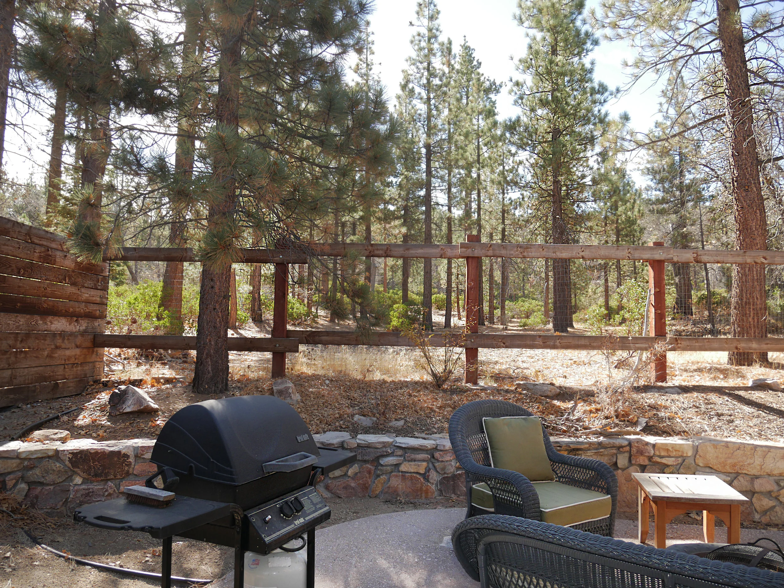 BackyardGrillView.JPG