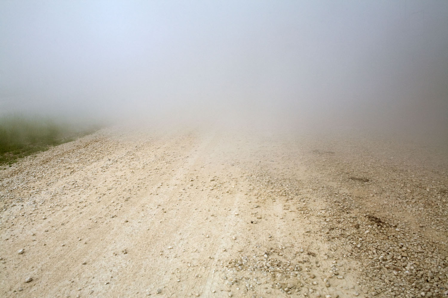 Fog