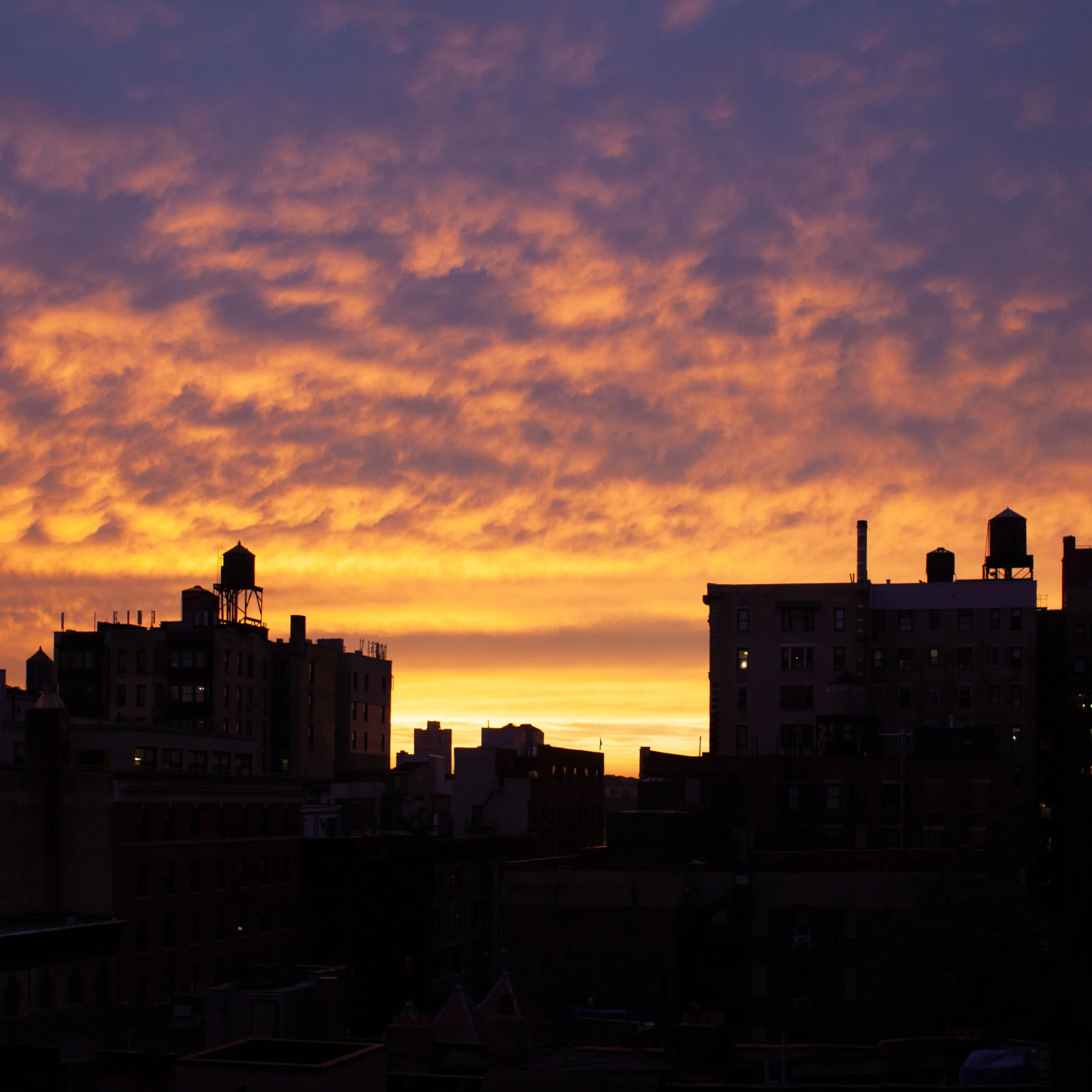 _MG_7863.jpg