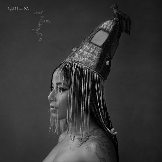 Interlocutor Interviews PODCAST ~ aja monet