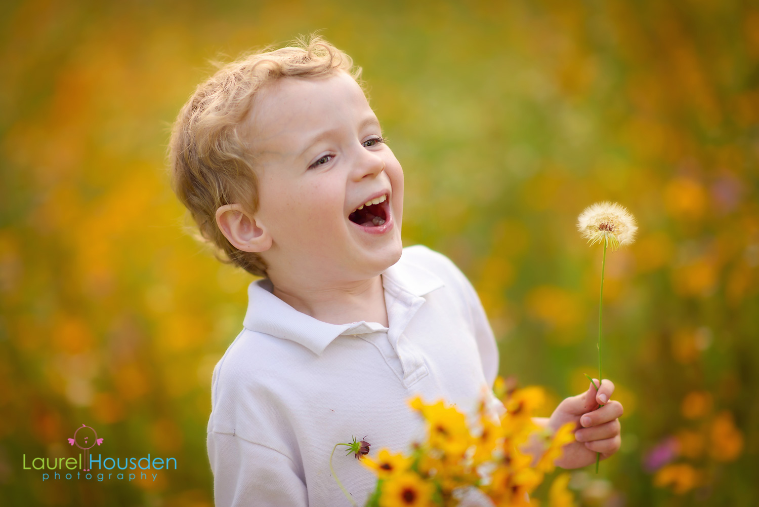 wildflowers--3.jpg