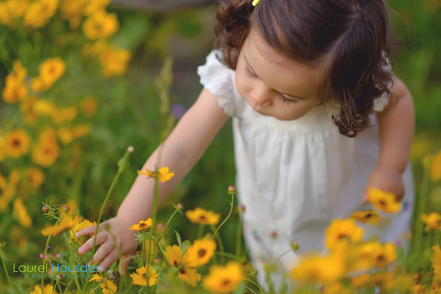 wildflowers--8.jpg