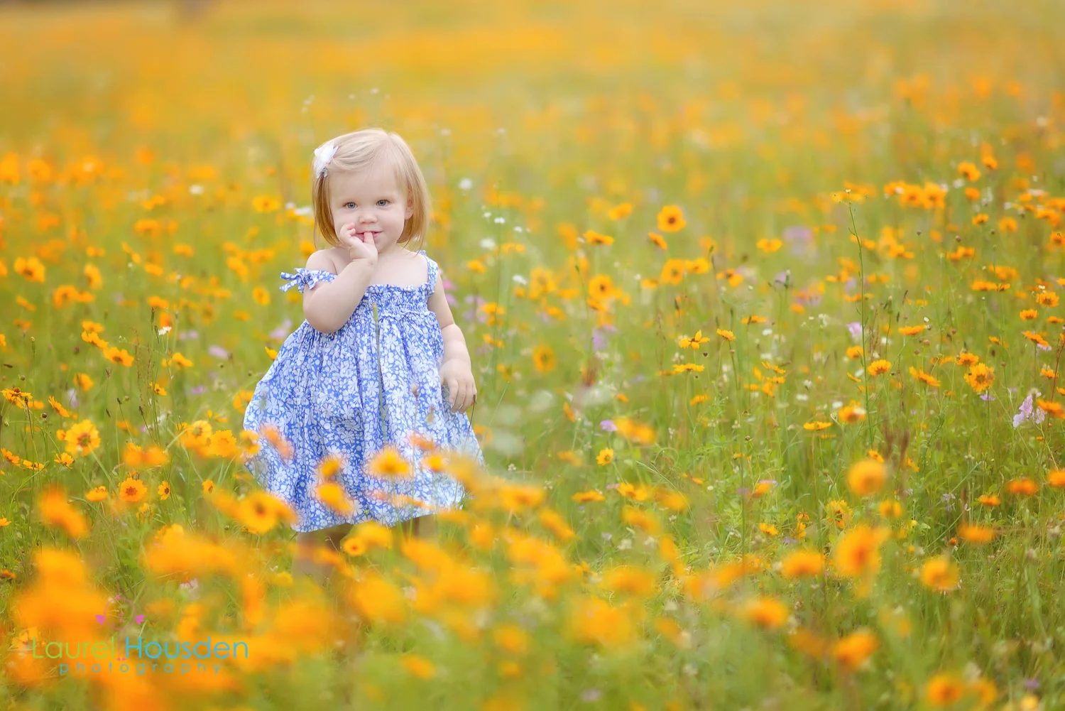 wildflowers--13.jpg