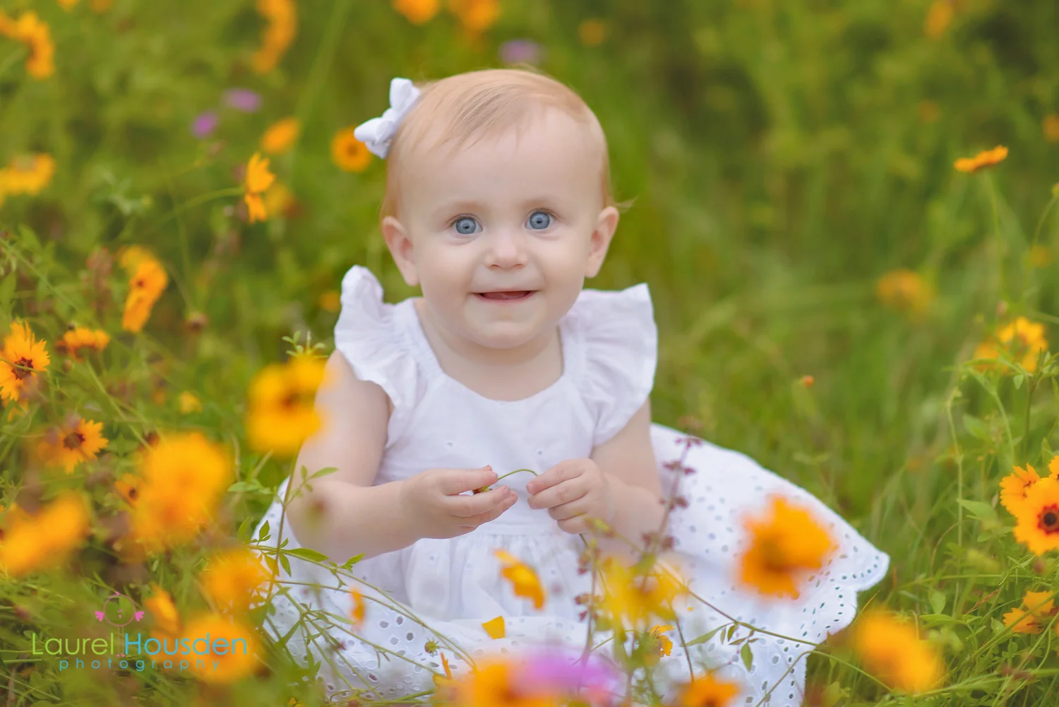 wildflowers--18.jpg