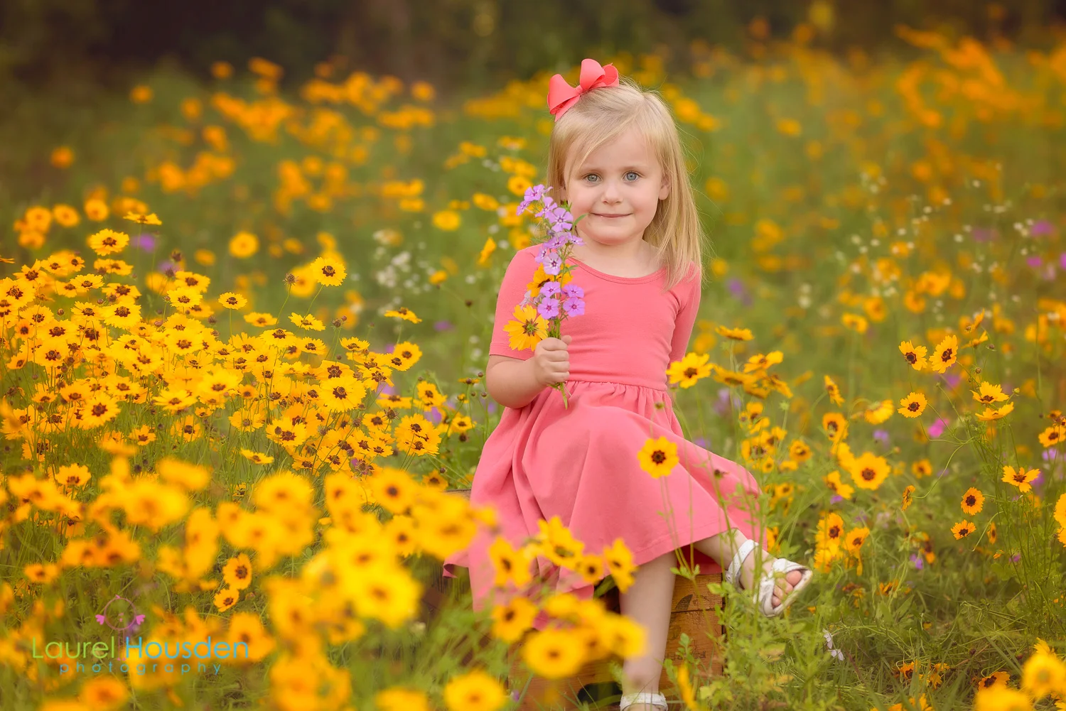 wildflowers-9396.jpg