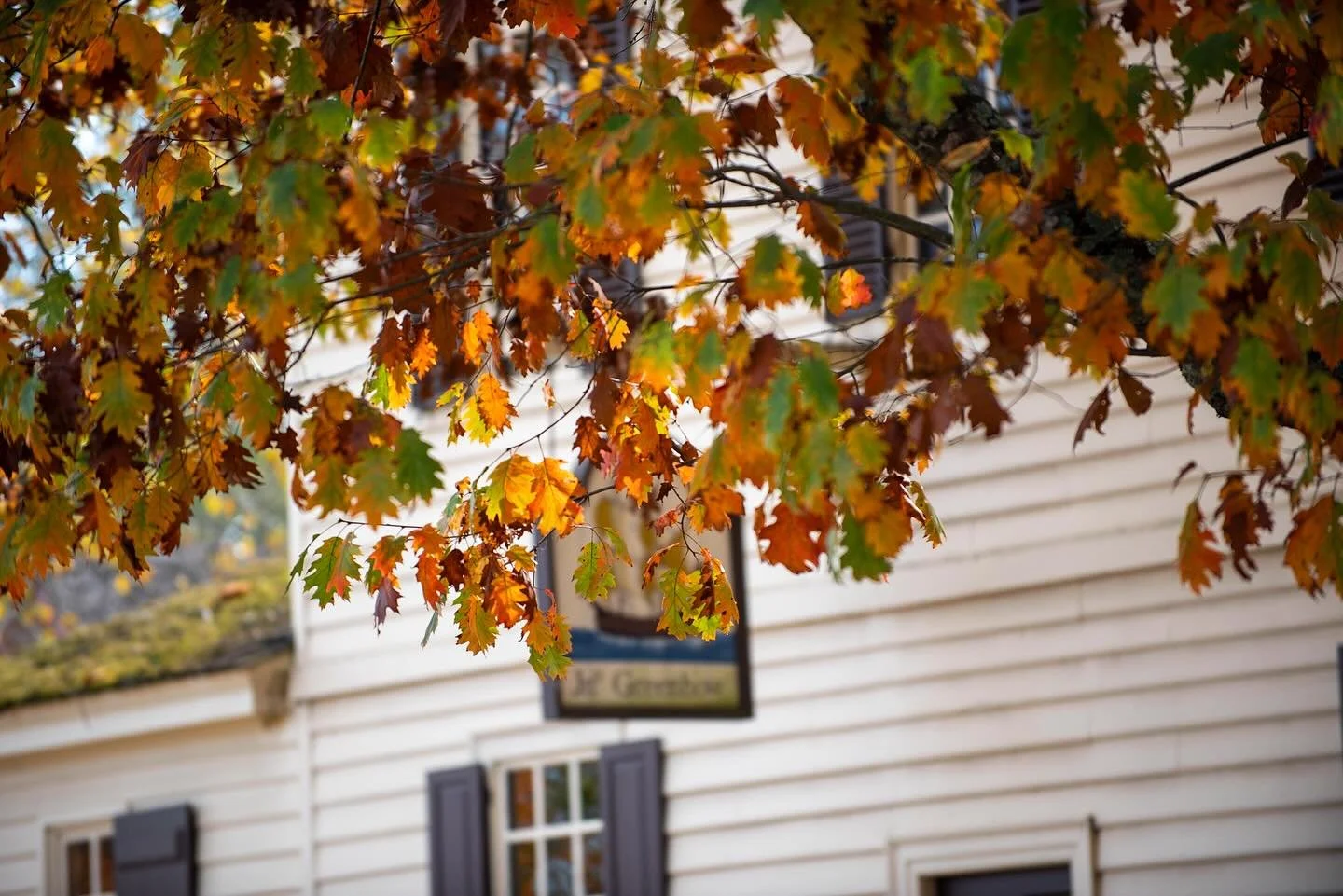 Step back in time this fall in Colonial Williamsburg, where history meets the golden glow of autumn. 🍁 From crisp strolls under fiery leaves to discovering the stories that shaped America, it&rsquo;s the season to explore Virginia&rsquo;s living his