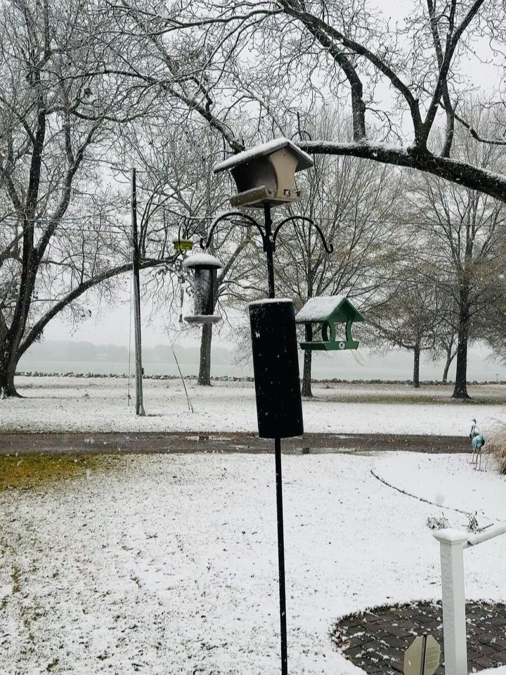 It has snowed twice this week already Williamsburg, Virginia and I can&rsquo;t tell you how magical it is to be in the holiday season and have all this fluffy snow!